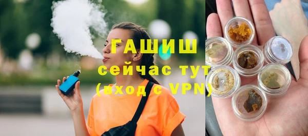 гашик Алексин