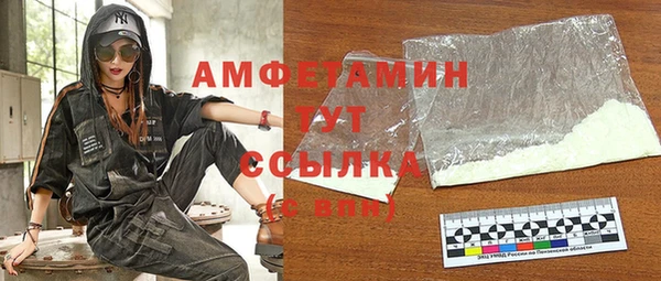 гашик Алексин