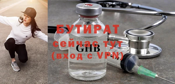 гашик Алексин