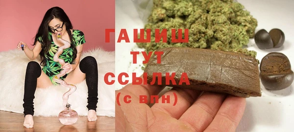 гашик Алексин
