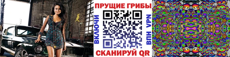 сколько стоит  Ахтырский  Галлюциногенные грибы мухоморы 