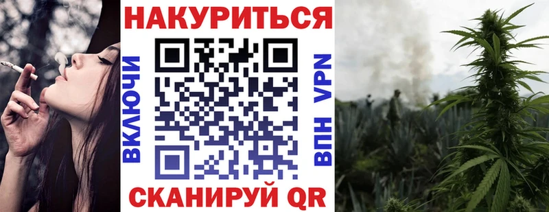 Бошки Шишки сатива  Ахтырский 